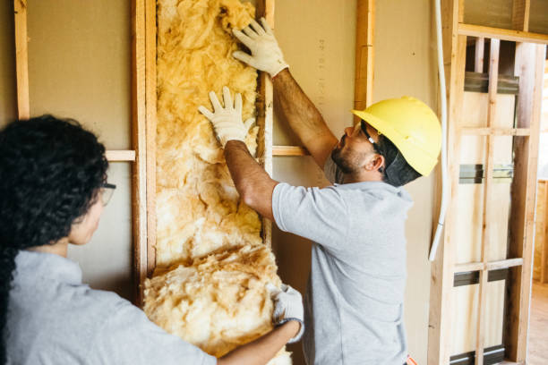 Best Insulation Removal  in Tilton Northfield, NH